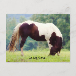 Cades Cove-vykort Vykort