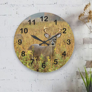 Cades Cove Whitetail Buck Wall Clock Stor Klocka