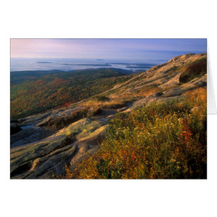 Cadillac Mountain Acadia nationalpark Hälsningskort