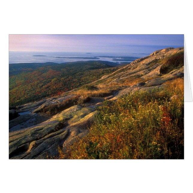 Cadillac Mountain Acadia nationalpark Hälsningskort (Framsidan Horizontal)