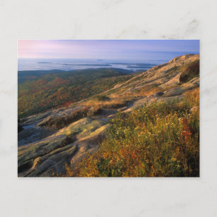 Cadillac Mountain Acadia nationalpark Vykort