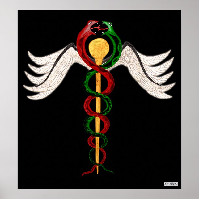 Caduceus Poster (Framsidan)