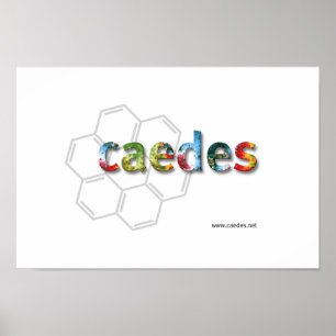 Caedes.net logotyp poster