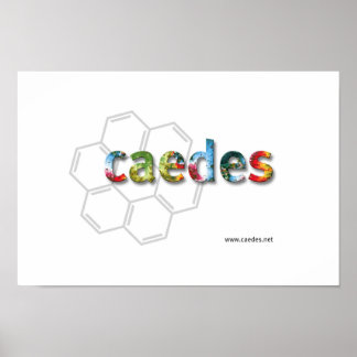 Caedes.net Logotyp Poster
