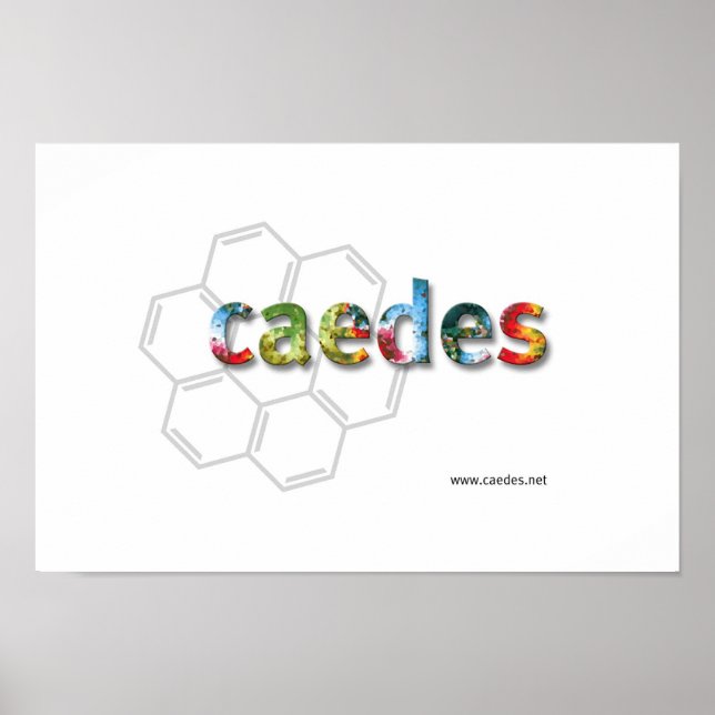 Caedes.net Logotyp Poster (Framsidan)