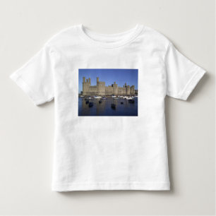 Caernarfon Castle, Gwynedd, Wales (RF) Tee Shirt