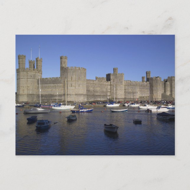 Caernarfon slott, Gwynedd, Wales (RF) Vykort (Framsida)