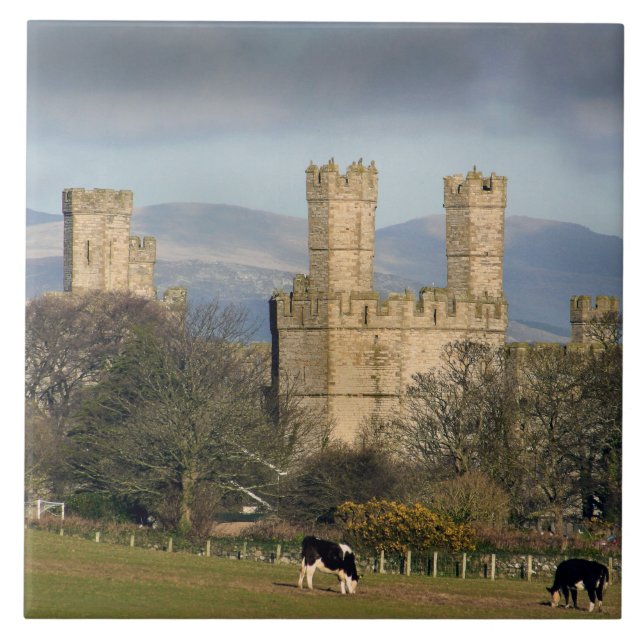 Caernarfon slott Wales. Kakelplatta (Framsidan)