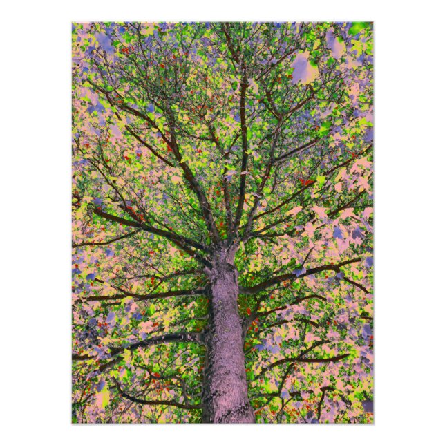 Caesar Salad 15 Fototryck (Framsidan)