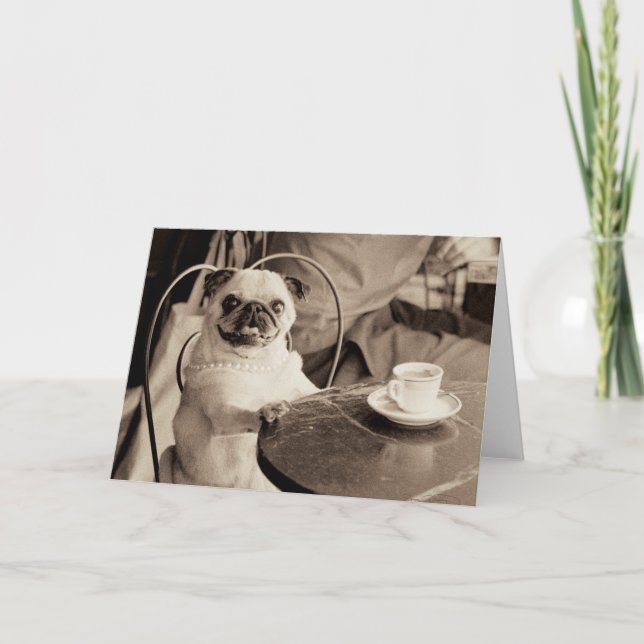 Cafe Pug Kort (Framsida)