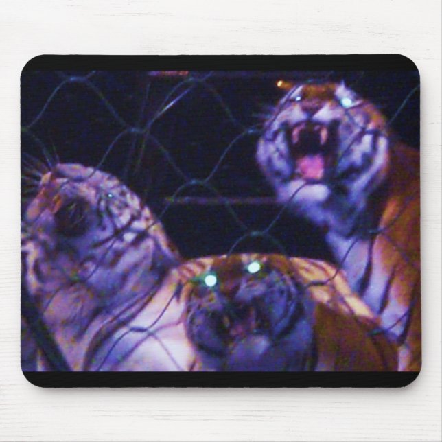 CAGED TIGERS-musmatta Musmatta (Framsidan)