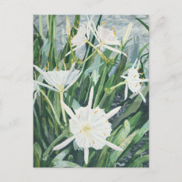 Cahaba Lilies vycard Vykort