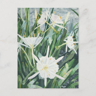 Cahaba Lilies vycard Vykort