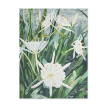 Cahaba Lilies vycard