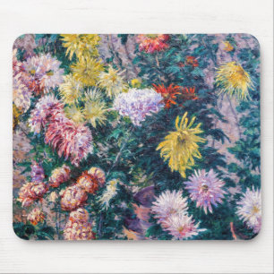 Caillebute - White and Gult Chrysanthemums Musmatta