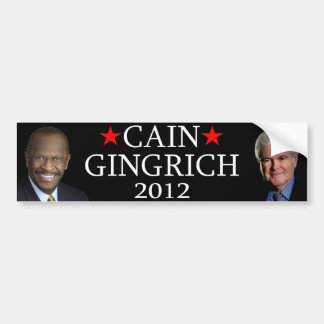 Cain/Gingrich Bildekal