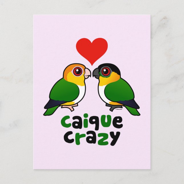 Caique Crazy Vykort (Framsida)