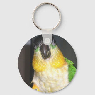 Caique Nyckelring