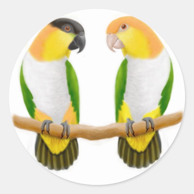 Caique Parrot Kärlek Sticker Runt Klistermärke (Framsida)