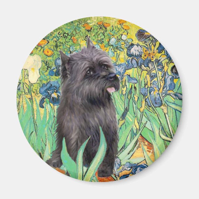 Cairn (Brindle 17) - Irisar Magnet (Framsidan)
