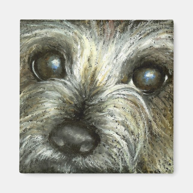 Cairn skräckpuppy magnet (Framsidan)