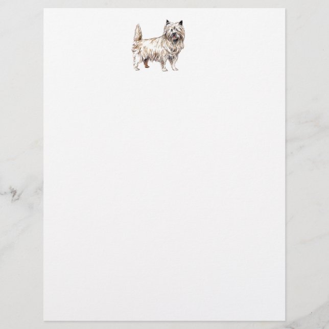 Cairn Terrier (Framsida)