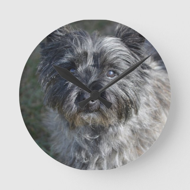 Cairn Terrier Ansikte Rund Klocka (Framsida)