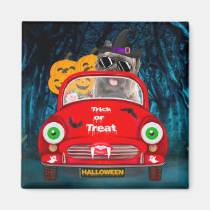 Cairn Terrier driver bil Scary Halloween Magnet