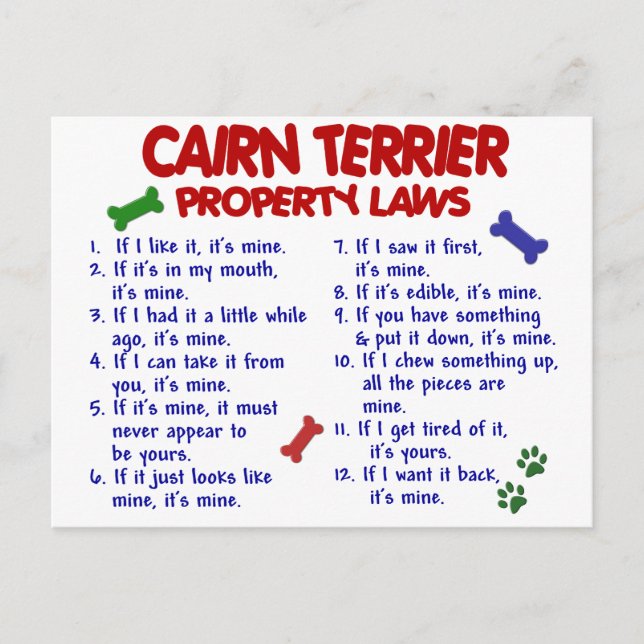 CAIRN TERRIER Egendom LAGSTIFTNING 2 Vykort (Framsida)