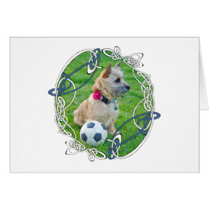 Cairn Terrier Fotboll Hälsningskort