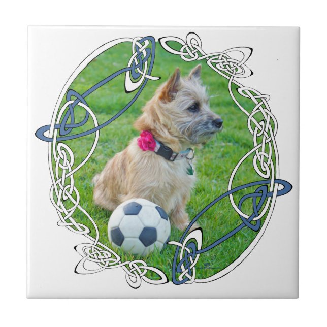 Cairn Terrier Fotboll Kakelplatta (Framsidan)