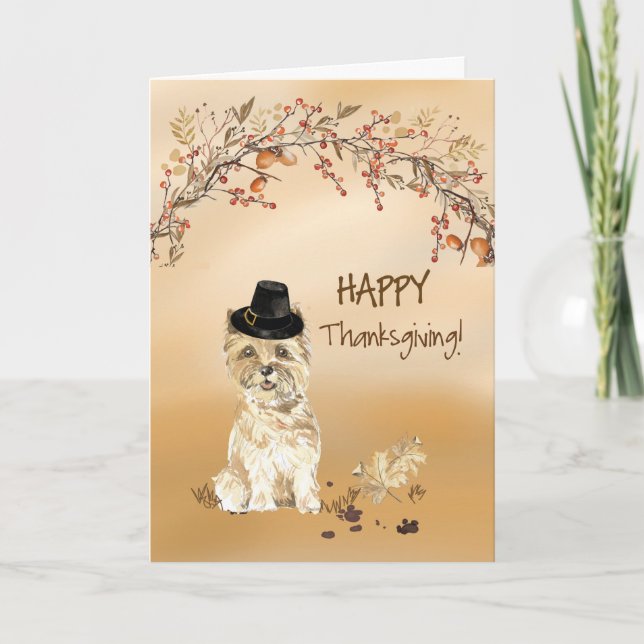 Cairn Terrier Funny Pilgrim Hat Thanksgiving Kort (Framsida)