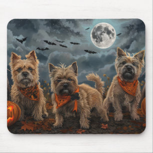 Cairn Terrier Halloween Spooky Musmatta