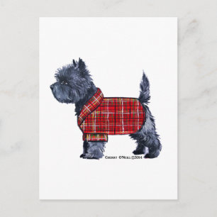 Cairn Terrier Helgdag Helg Vykort