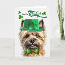 Cairn Terrier Hund Feelin' Lucky St patrick's day
