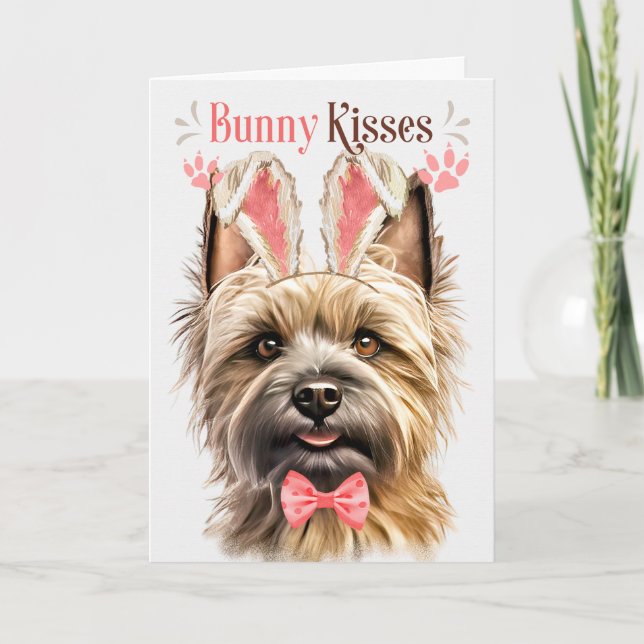 Cairn Terrier Hund i Bunny Öron för Påsk Helgkort (Framsida)