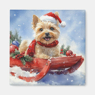 Cairn Terrier Hund i Sledge Låt det snöa jul Magnet