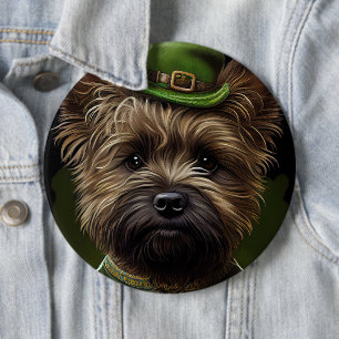 Cairn Terrier hund i St. Patrick Dress Knapp