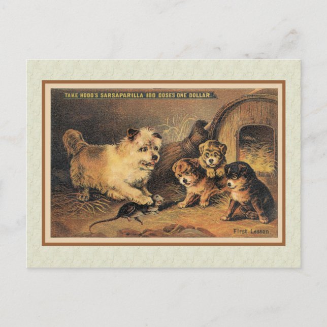 Cairn Terrier Hund och hennes valpar Vykort (Framsida)