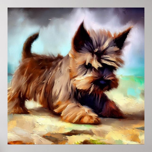 Cairn Terrier Hund Poster (Framsidan)