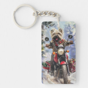 Cairn Terrier Hund Riding Motorcle jul
