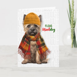 Cairn Terrier Hund Roliga Loppor Navidog Jul Helgkort