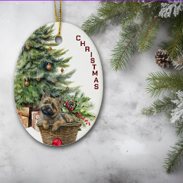 Cairn Terrier Hund Wicker Basket jul Julgransprydnad Keramik