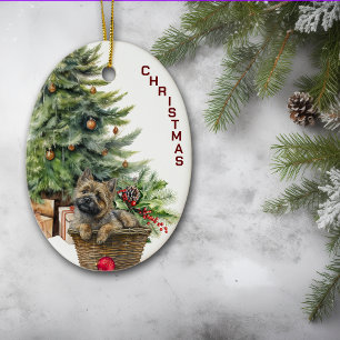 Cairn Terrier Hund Wicker Basket jul Julgransprydnad Keramik