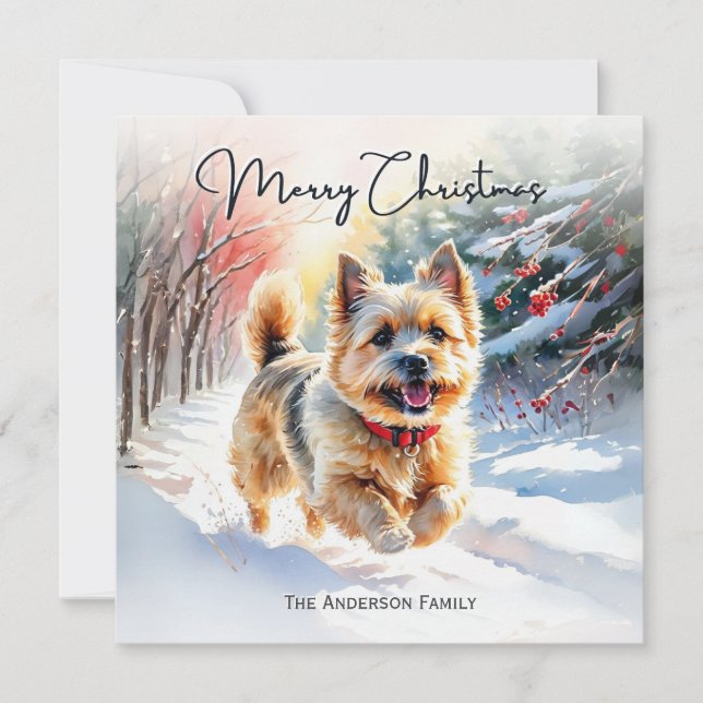 Cairn Terrier I Snö God Jul Julkort (Framsida)