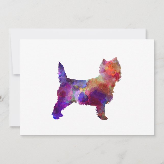 Cairn Terrier in watercolor (Framsida)