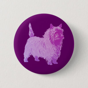 Cairn Terrier Knapp