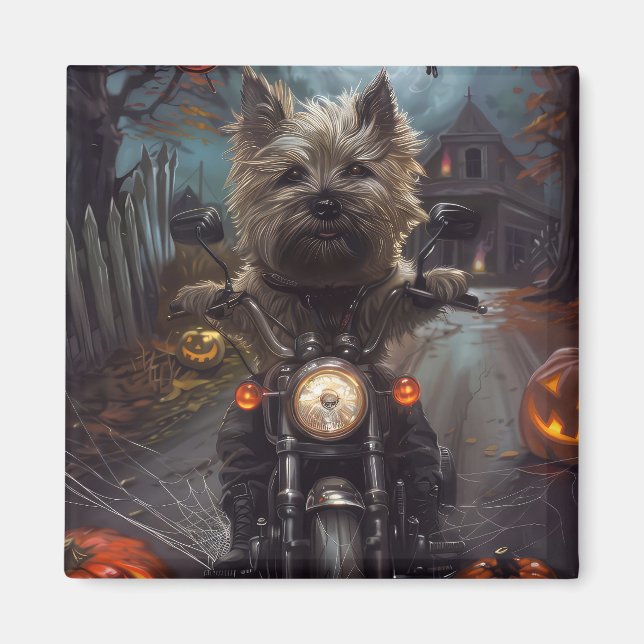Cairn Terrier kör motorcykel Halloween läskig Magnet (Framsidan)