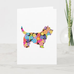 Cairn Terrier Kort