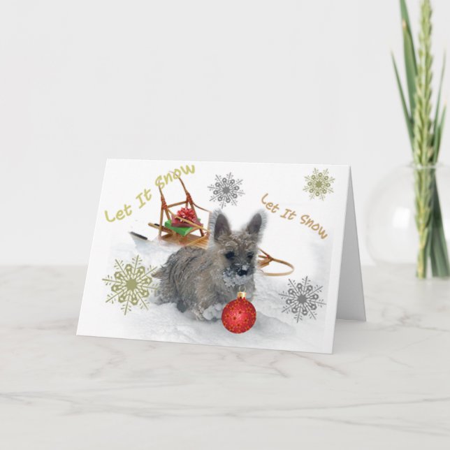 Cairn Terrier Låt det snöa kort (Framsida)